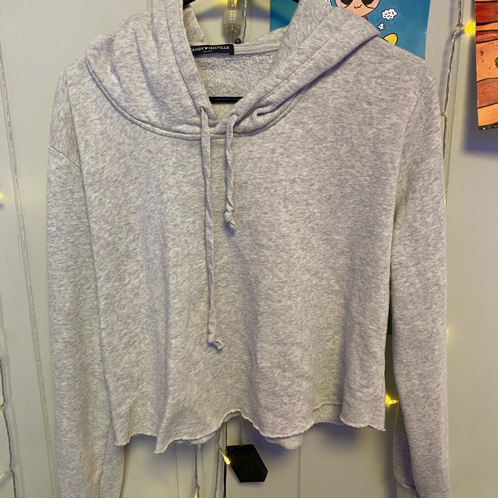 Brandy Melville Cropped Hoodie